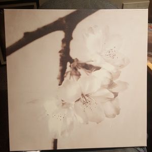 A flower picture (canvas)